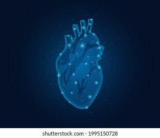 Abstract low poly heart. Polygonal wireframe illustration of human heart. Polygonal wireframe illustration with lines and dots. Vector illustration.