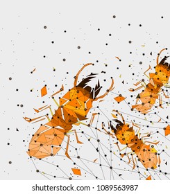 Abstract of Low poly termite with point connecting network,animal geometric concept,vector.	
