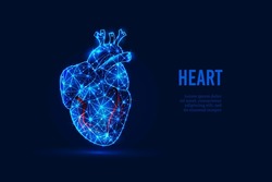 Abstract Low-polygonal Human Heart, Created From Dots, Triangles, Lines. Anatomy, Medicine. Shining Blue Background. Vector Illustration