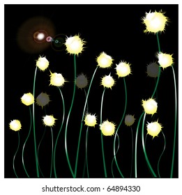 abstract luminous dandelions