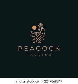 Abstract luxury peacock logo design template