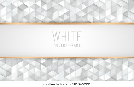 Abstract luxury white grey triangle pattern design background with copy space. Modern & minimal frame. You can use for cover brochure template, poster, banner web, flyer, print ad. Vector illustration