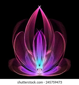 Abstract magic lotus flower