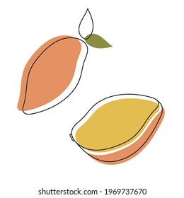 Abstract mango in doodle style. Trendy minimalist print. Set is suitable for illustrating healthy eating, recipes, printable, cards. 