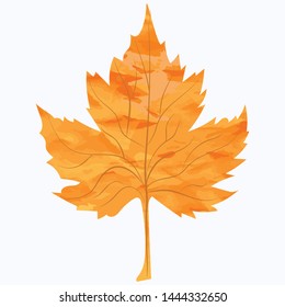 Abstract maple autumn orange-yellow leaf in grunge style - isolated on white background - vector. Ecological Concept.