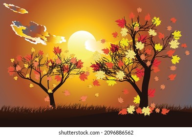 Abstract maple tree with falling autumn leaves over sunset sky background.