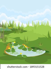 Abstract marsh landscape with pond overgrown with flowering yellow water-lily (Nuphar lutea) with green leaves