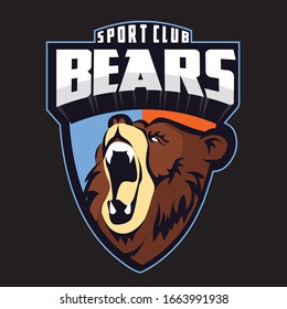 Abstract mascot logo with bear design template