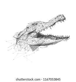 Abstract mash line and point action camera origami on white background with an inscription. Vector polygonal illustration. Technology art