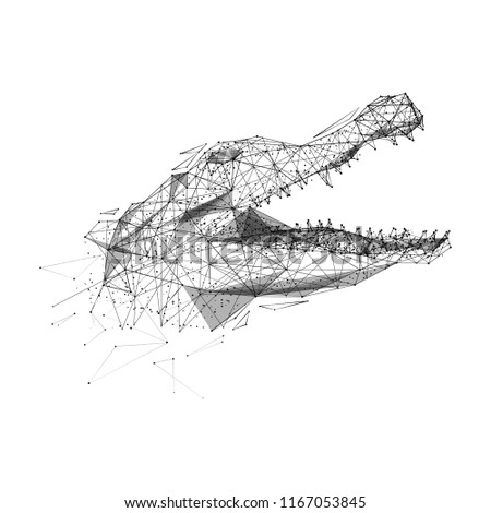 Abstract mash line and point action camera origami on white background with an inscription. Vector polygonal illustration. Technology art
