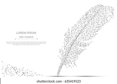 Línea de purga abstracta y apunte la pluma de aves sobre fondo blanco con una inscripción. Cielo estrellado o espacio, compuesto por estrellas y el universo. Ilustración empresarial de vectores