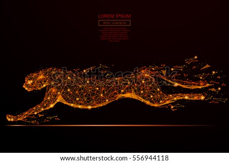 Abstract mash line and point cheetah in flames style on dark background with an inscription. Business net speed of a starry sky or space, consisting of stars and the universe. Vector illustration