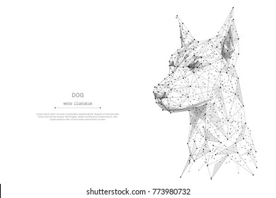 Abstract mash line and point head of the dog origami on white background with an inscription. Starry sky or space, consisting of stars and the universe. Vector illustration