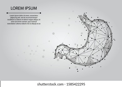 Abstract Mash Line And Point Human Healthy Stomach. Low Poly Health Care Vector Illustration