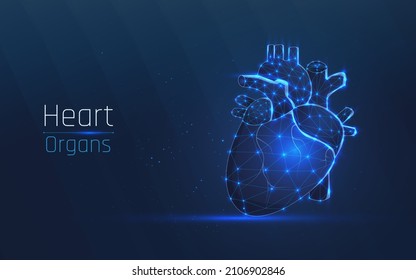 Abstract mash line and point human healthy heart. Low poly health care vector illustration. plexus, wireframe style. medicine

