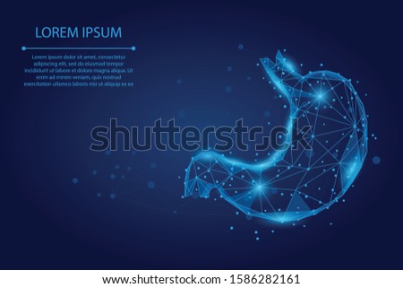 Abstract mash line and point human healthy stomach. Low poly health care vector illustration