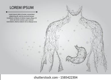 Abstract mash line and point man silhouette healthy stomach connected dots low poly wireframe. Low poly health care vector illustration