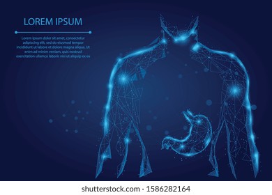 Abstract Mash Line And Point Man Silhouette Healthy Stomach Connected Dots Low Poly Wireframe. Low Poly Health Care Vector Illustration