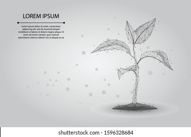 Abstract mash line and point plant sprout ecological abstract concept. Save planet nature environment grow life eco polygon triangles low poly vector illustration