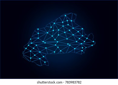 Abstract mash line and point scales on dark background with map of Burkinafaso
. Wire frame 3D mesh polygonal network line, design sphere, dot and structure. Vector illustration eps 10.