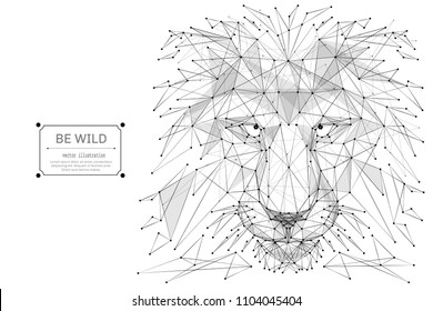 Abstract mash line and point Abstract vector image of lion origami on white background with an inscription. Lion's head Low poly wire frame illustration. Vector wild animal illustration