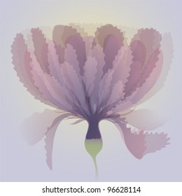 Abstract mauve flower