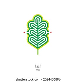 Abstract maze leaf. Educational game for children, logic and thinking. Color puzzle. Labyrinth conundrum. Vector illustration isolated on white background. One Entrance, One Exit. 