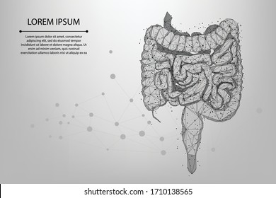 Abstract meah line and point polygonal intestines. Scanning, research and diagnosis of the human intestines. Low poly wireframe vector illustration