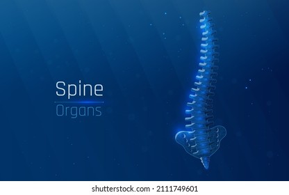 Línea de malla abstracta y fisioterapia de punto en la columna vertebral humana. Operación quirúrgica de área de dolor de popa baja. Ilustración poligonal hembra de la parte posterior de la hembra
