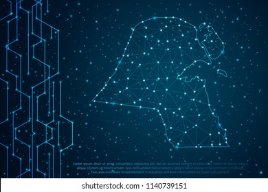 Abstract mesh line and point scales on Circuit dark background with map of Kuwait. Wire frame mesh polygonal network line, design sphere, dot and structure. Vector illustration eps 10.