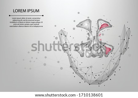 Abstract mesh line and point Sinusitis. Low poly Healthy and inflammation nasal sinus. Polygonal vector illustration