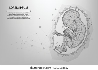 Abstract mesh and line Pregnancy Low poly wireframe illustration of baby