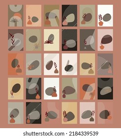 abstract mid century modern template vector set with vase, branch