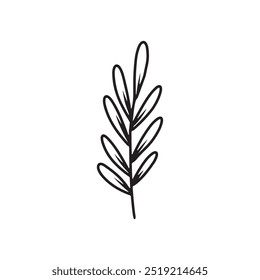 Abstract minimal branch with leaves as a symbol of autumn in in black isolated on white background. Hand drawn vector sketch illustration in doodle engraved vintage line art style. Coloring book, tea.