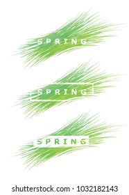 Abstract minimal composition of word 'spring' and green lines. Vector.