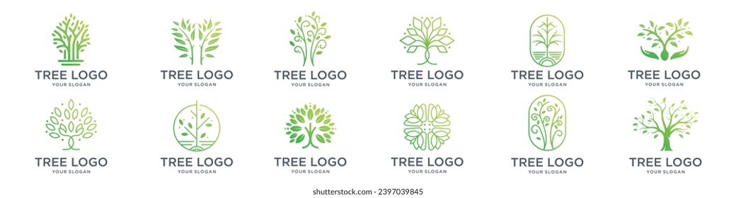 Resumen mínimo conjunto de iconos del logotipo del árbol de la vida. Símbolos botánicos de la naturaleza vegetal. Rama de árbol con signos de hojas. Colección de emblemas de elementos de diseño natural. Ilustración del vector