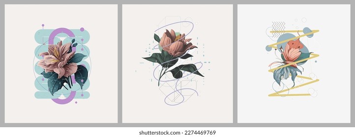 Abstract minimalist Art. Mixed style, geometric shapes and plants. Flowers, leaves. Set of vector paintings. Bauhaus. Backgrounds for poster, banner, print. 