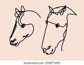 Abstract minimalist illustration showing two horse heads depicted with continuous line art on a light background. The fluid lines create a sense of motion and simplicity.