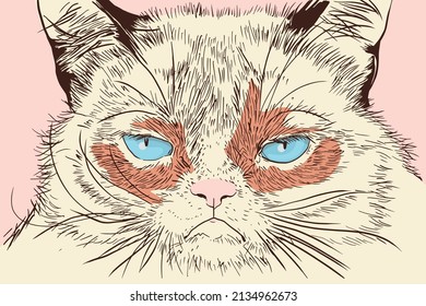 Abstract, minimalist portrait of a cat. Vector illustration in a flat style.