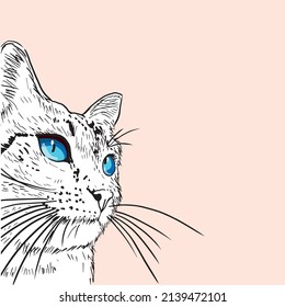 Abstract, minimalist portrait of a cat. Vector illustration in a flat style.
