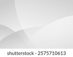 Abstract minimalist white and gray curve modern background. texture white pattern. vector illustration