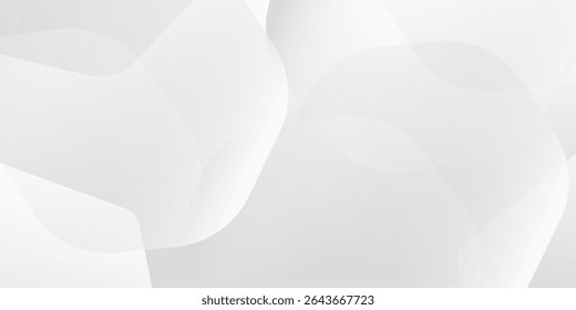 Abstract minimalist white and gray curve simple background. texture white pattern. illustrations art nice