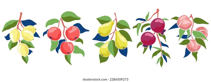 Abstract minimalistic fruit branch set. Natural vector ruits and leaves. Lemon, pear, peach, pomegranate. Isolated elements. Juicy fruits in a modern shape.