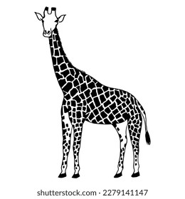 Abstract, minimalistic sketch of a giraffe with simple lines. Ideal design for the cover of a book or magazine about animals. Line drawing, line art. Vector illustration
