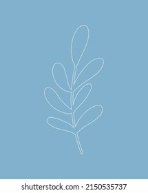 Resumen de hoja tropical minimalista en estilo boho y líneas. Plantilla, afiche, pancarta, fondo. Ilustración vectorial en un estilo sencillo