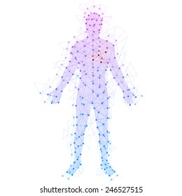 Abstract model of man with points and lines. Vector background