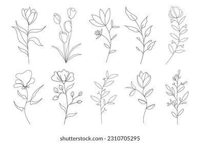 Abstract modern botanical wildflowers line art style doodle set on white background. Clipart flowers and floral decoration