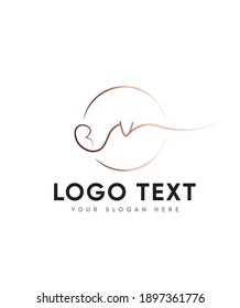 Abstract modern creative enchanting handwritten letter type V logo template, Vector logo for business and company identity