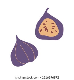 Abstract modern figs fruit icon  isolated on white background. Vector hand drawn flat  illustration.   figs logo design.