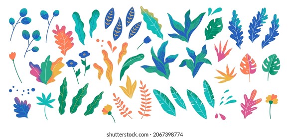 Abstract modern foliage collection. Botanical futuristic elements isolated on a white background. Vector illustrations in flat style. Branches, wild flowers, palm leaves, berries and grass.